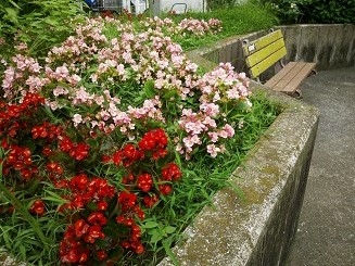 卒業シーズンですね!