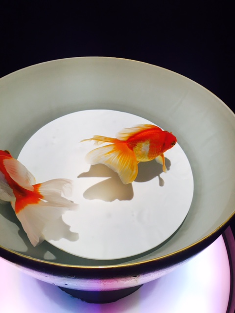 アートに触れる