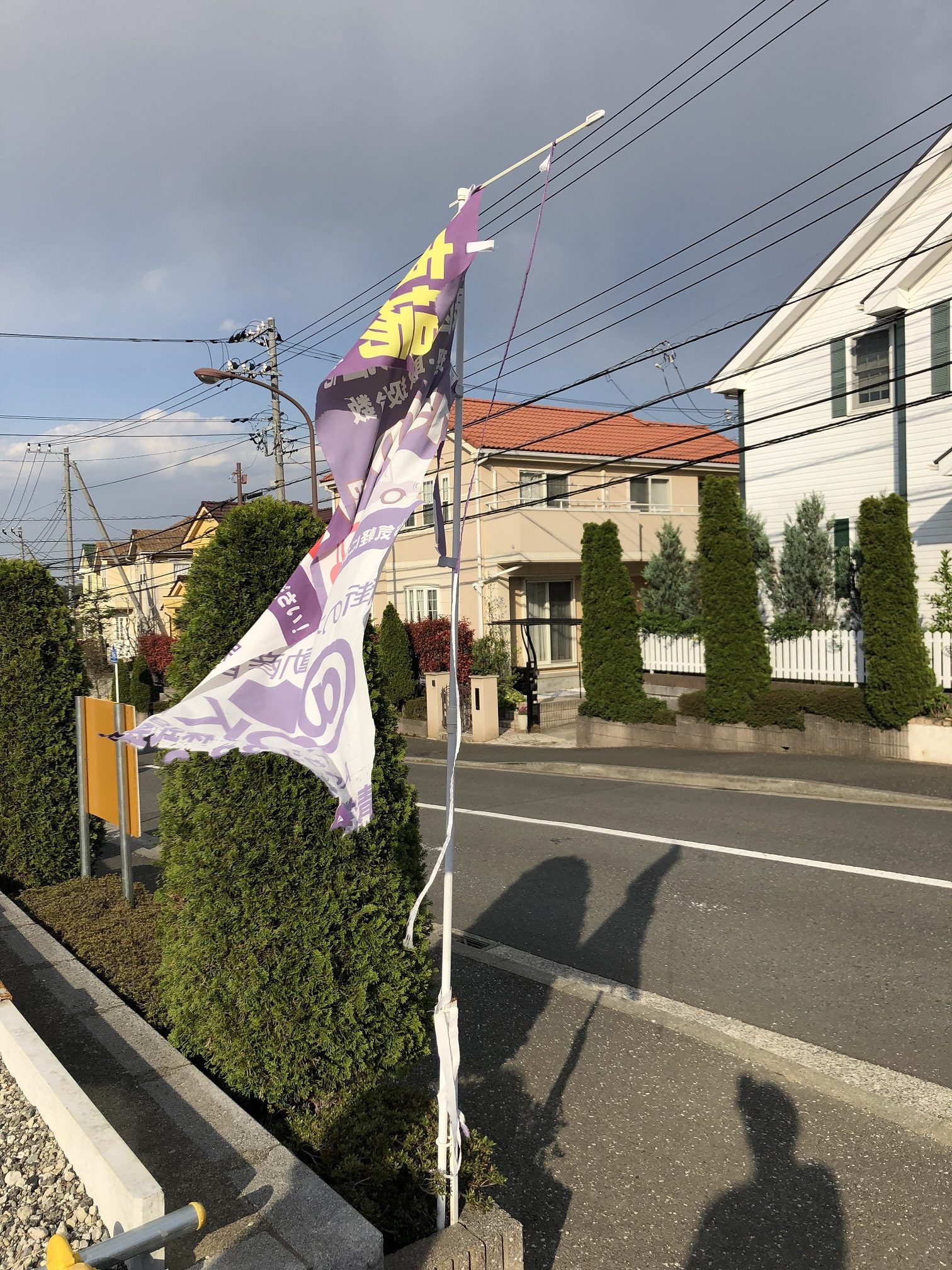 連日の強風で・・・