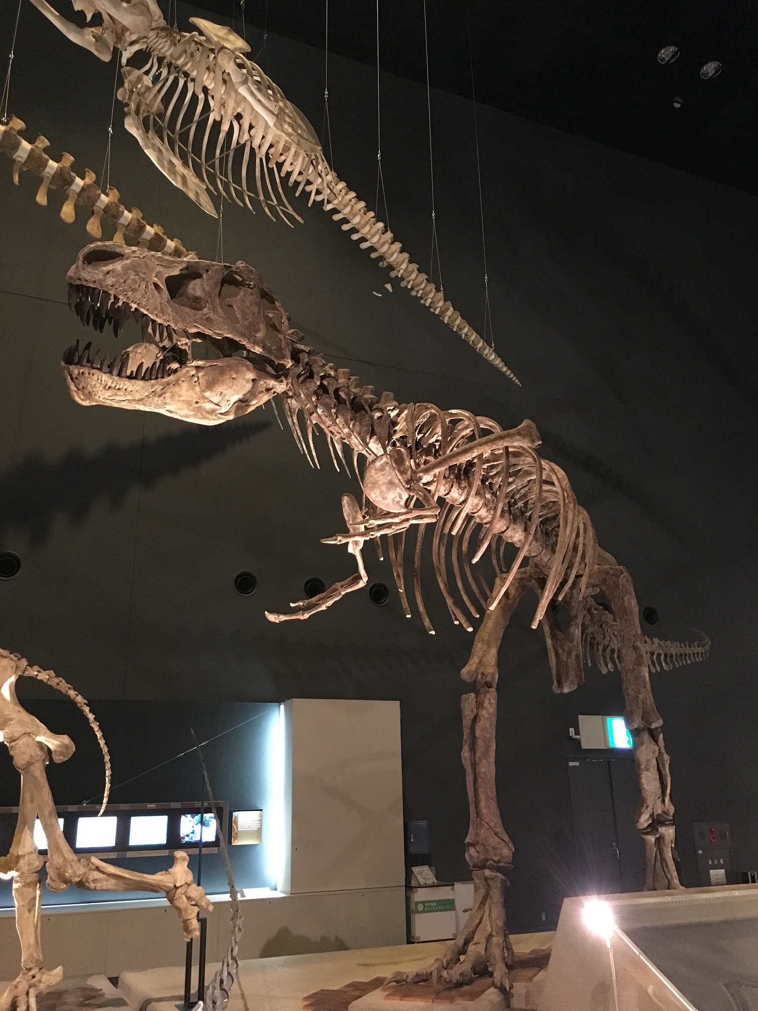 生命の星・地球博物館