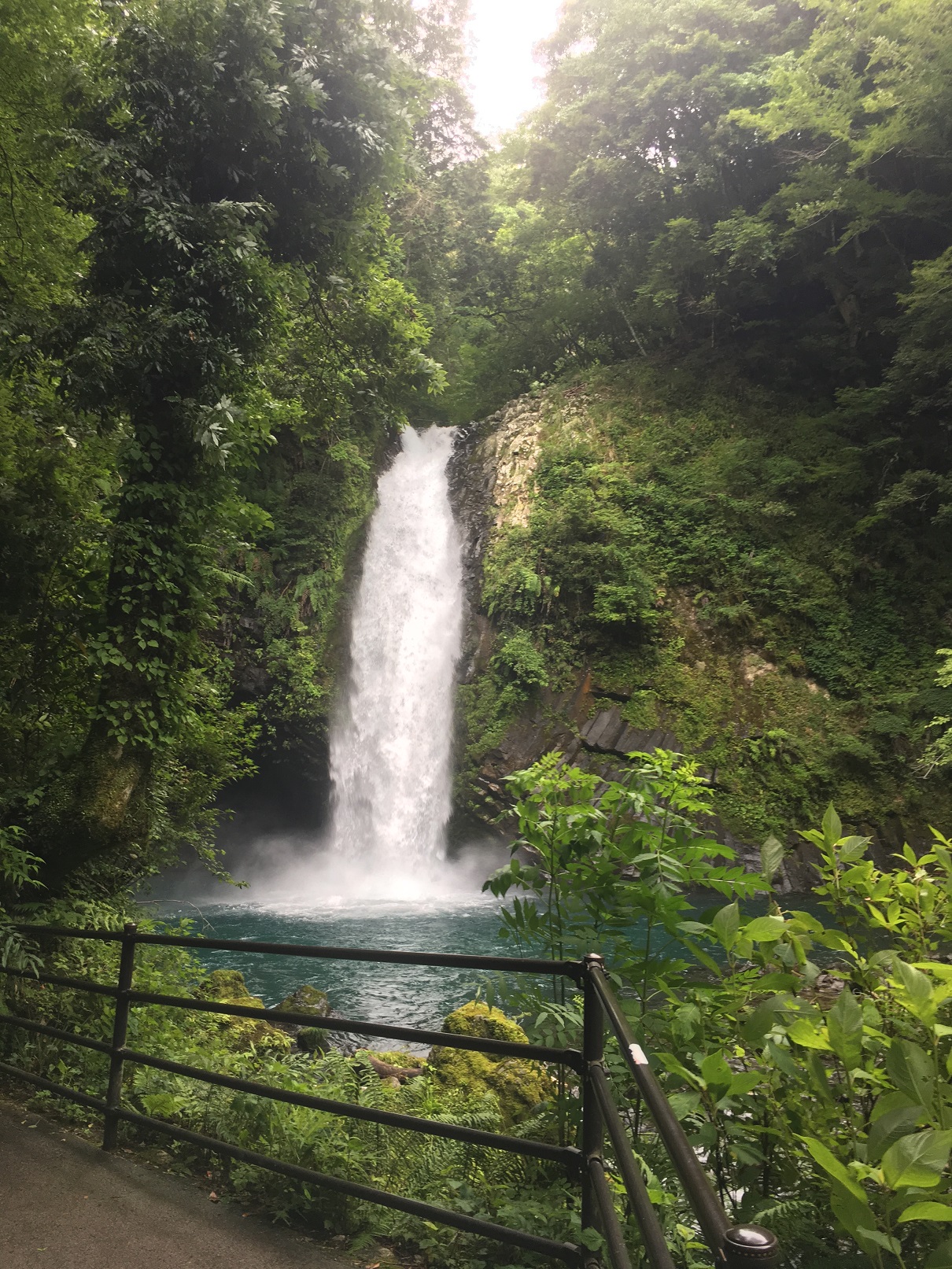 西伊豆~弾丸車中泊~