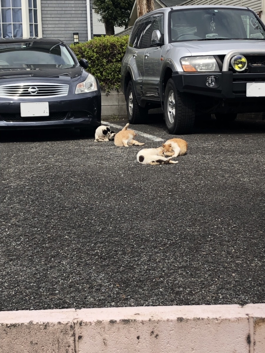 研修に参加してきました