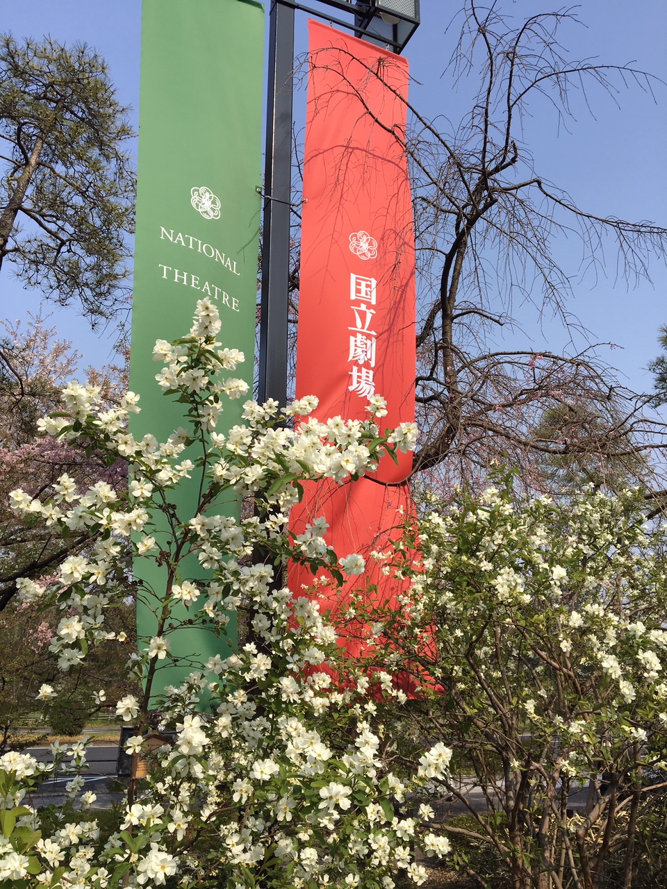 春は演奏会☆.。.:*・゜