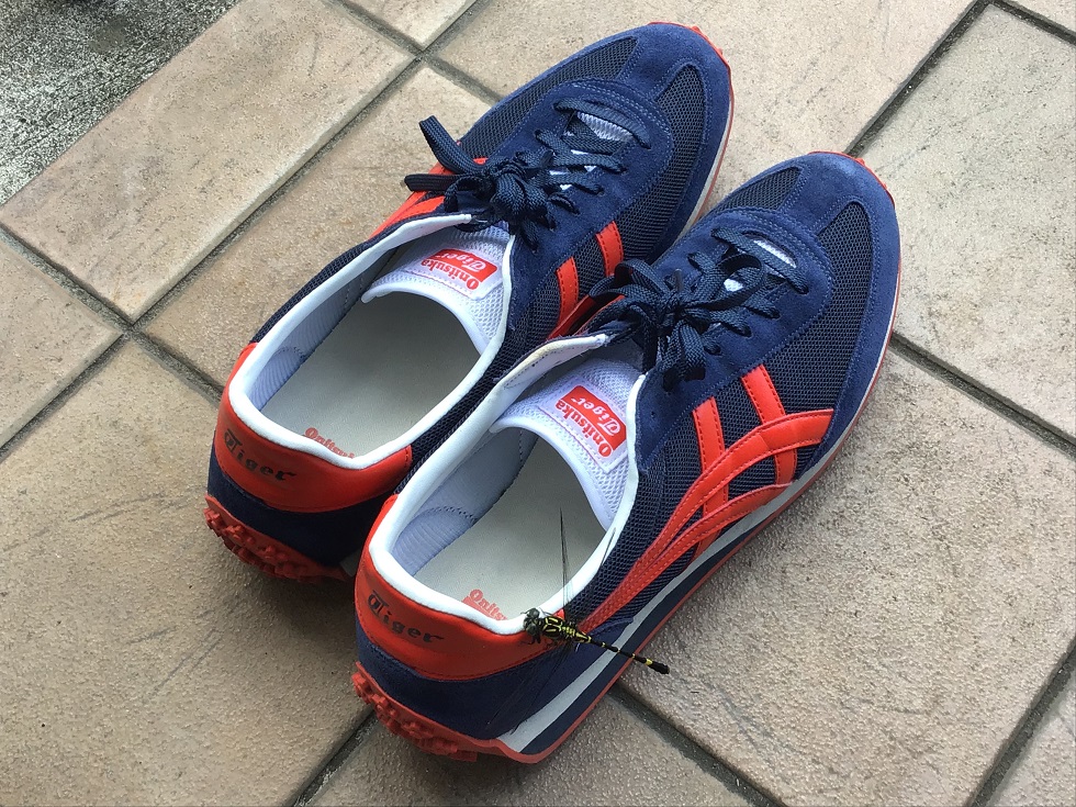 秋めいてまいりました・・。