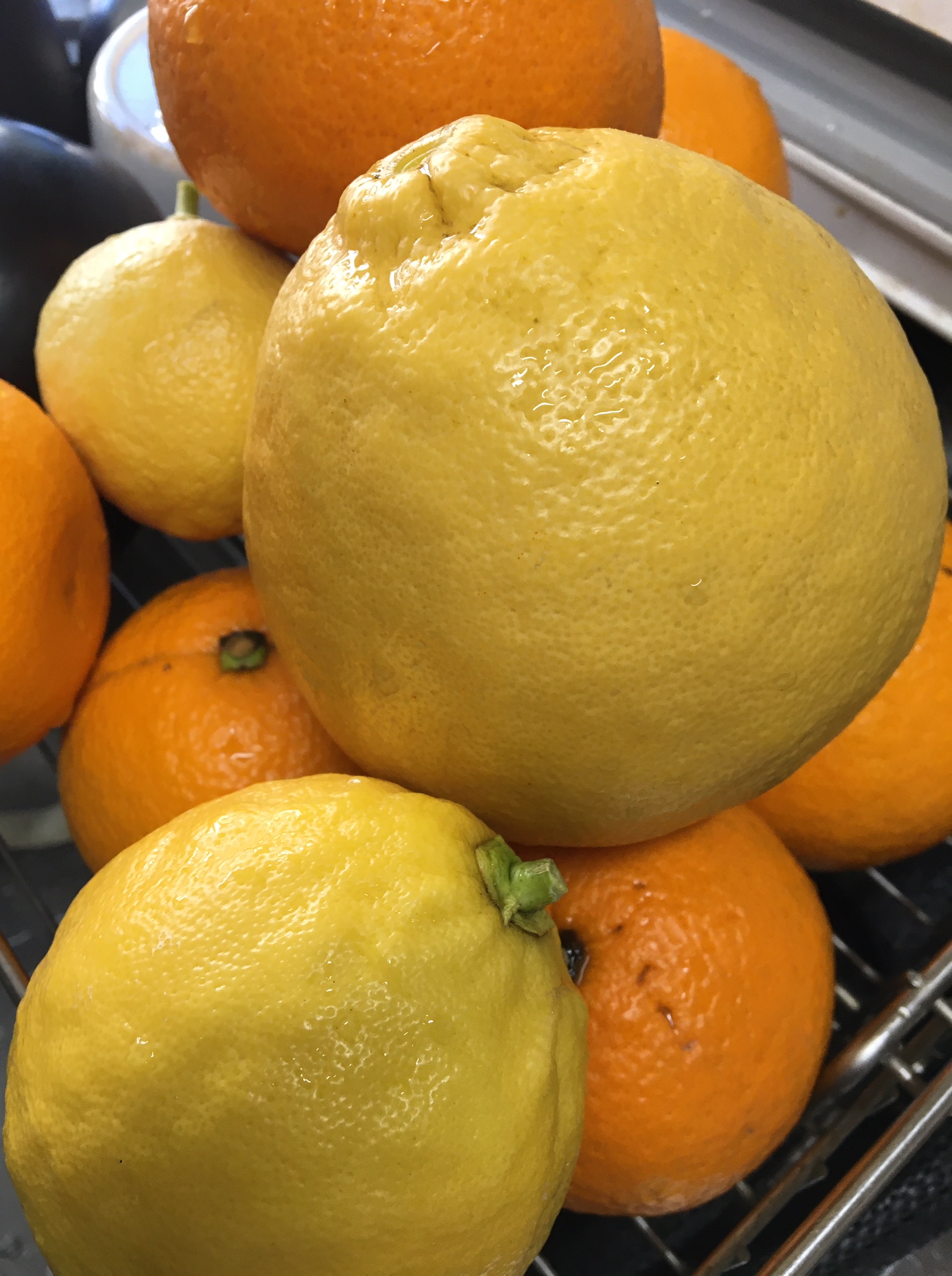 冷蔵庫の掃除または料理の春