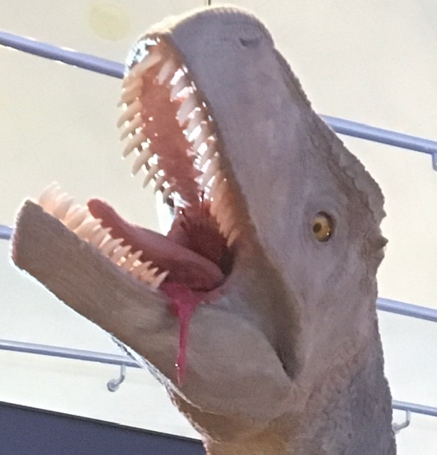 福井に恐竜がいた!