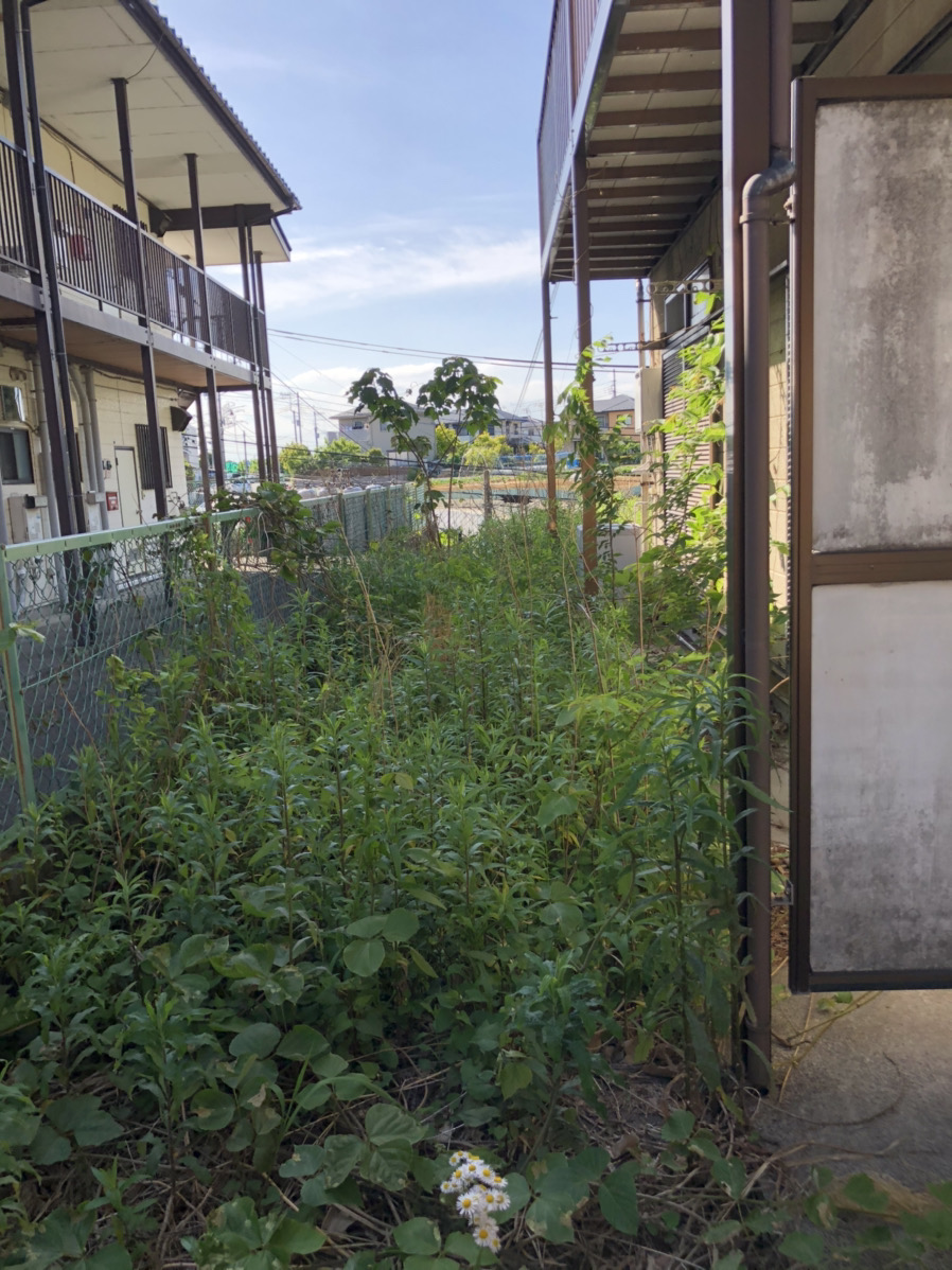 なんということでしょう