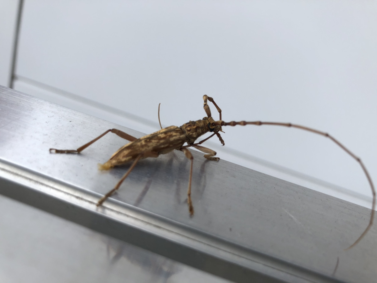 もうすぐ、、、