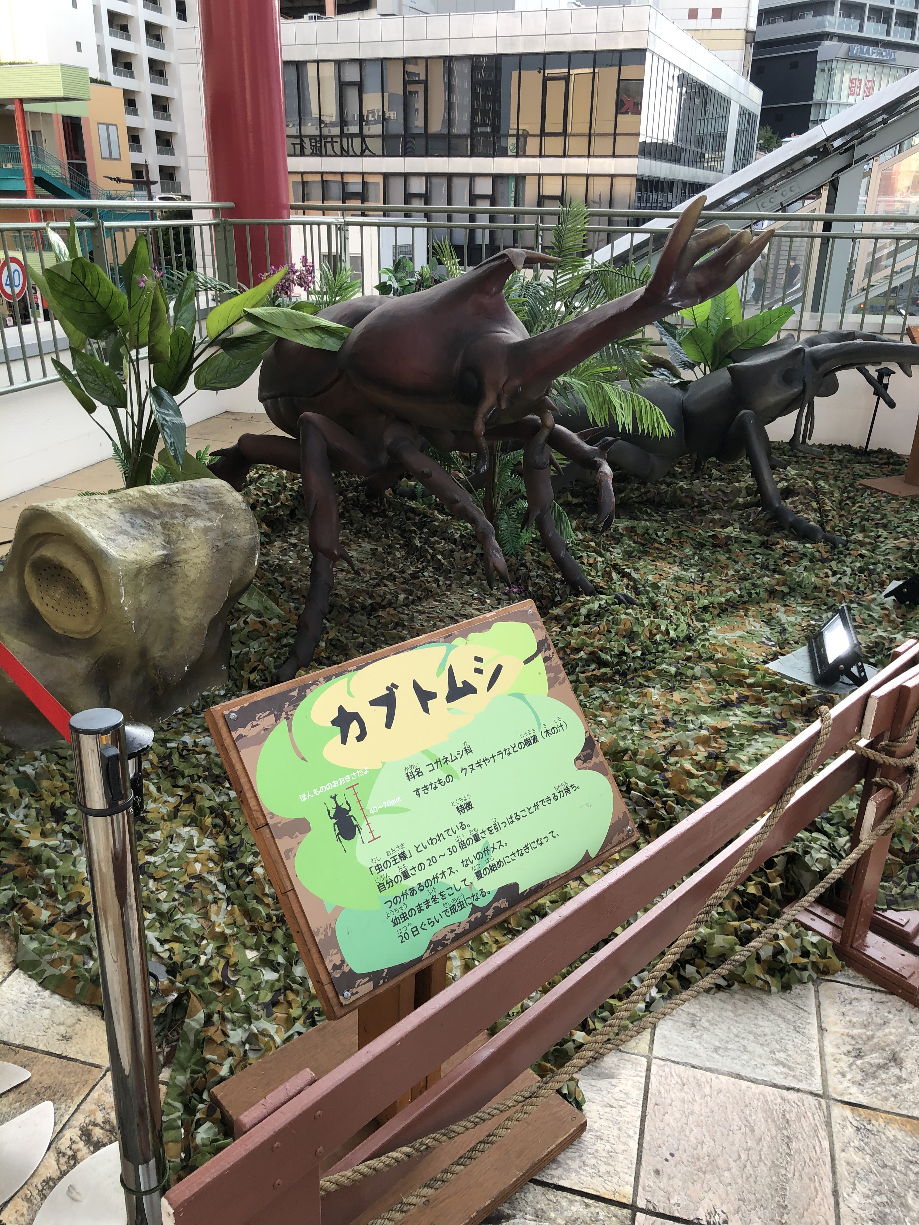 ふらっと、、、