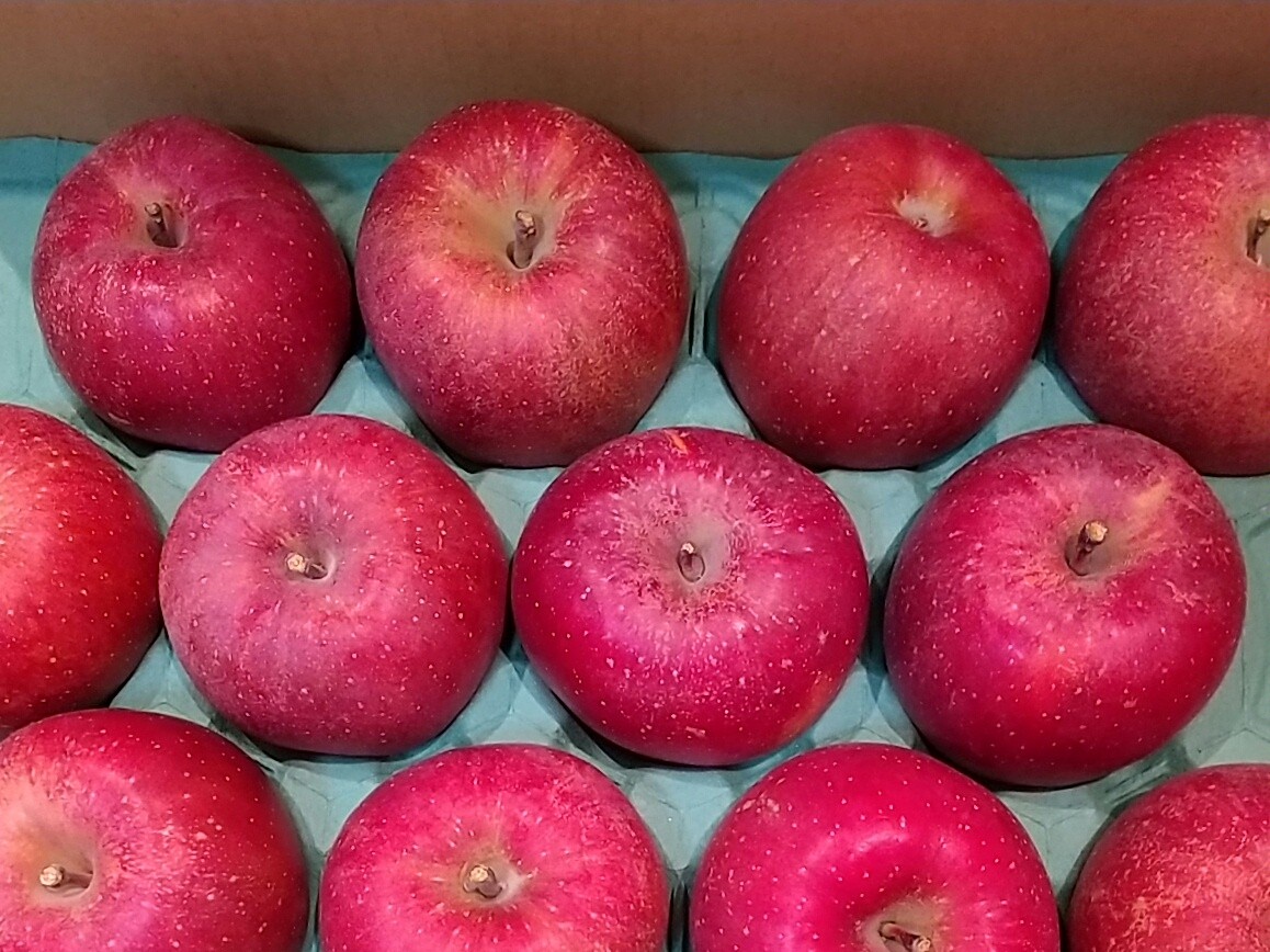 りんごを買いに信州へ