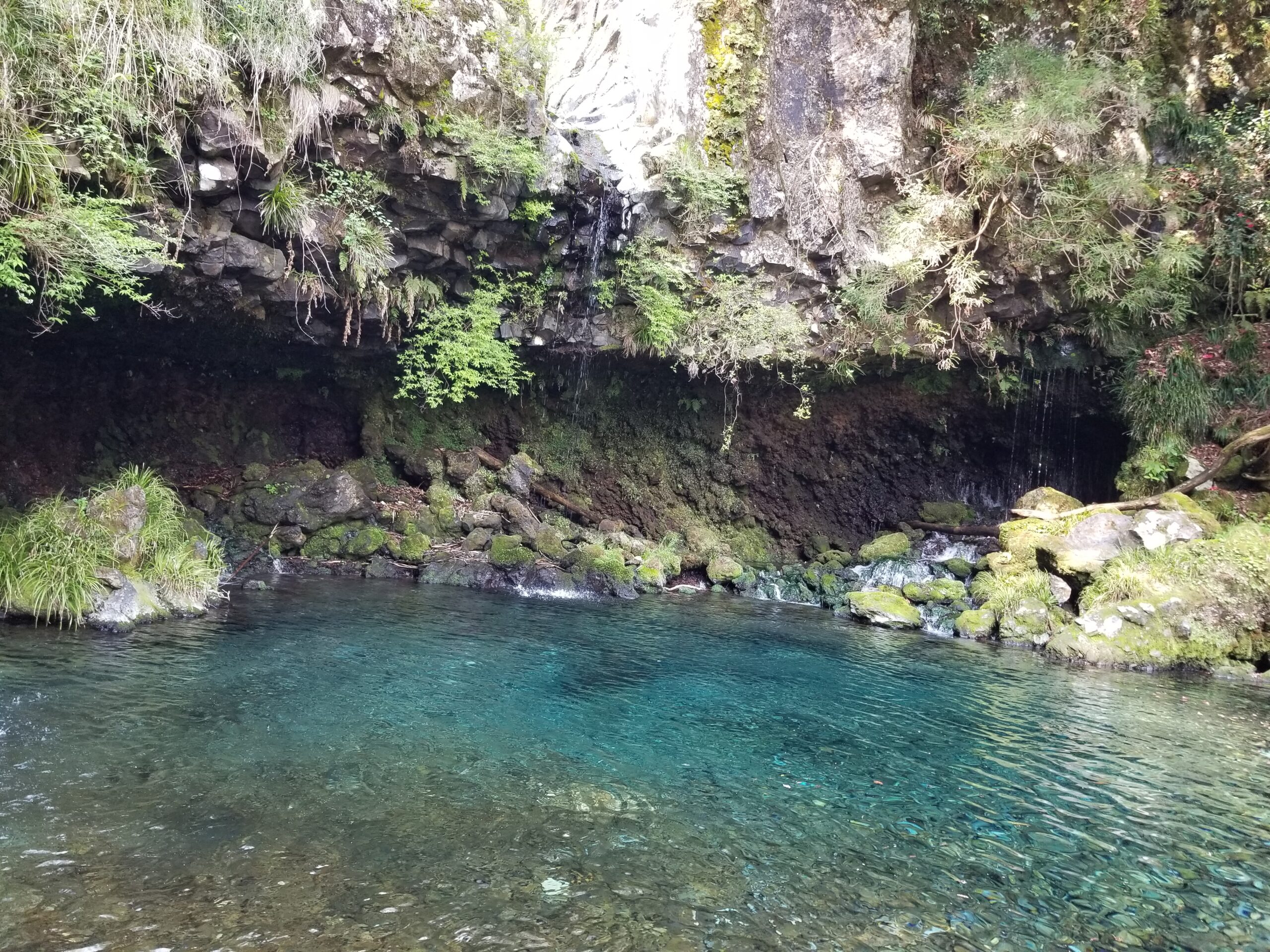 ドライブでリフレッシュ