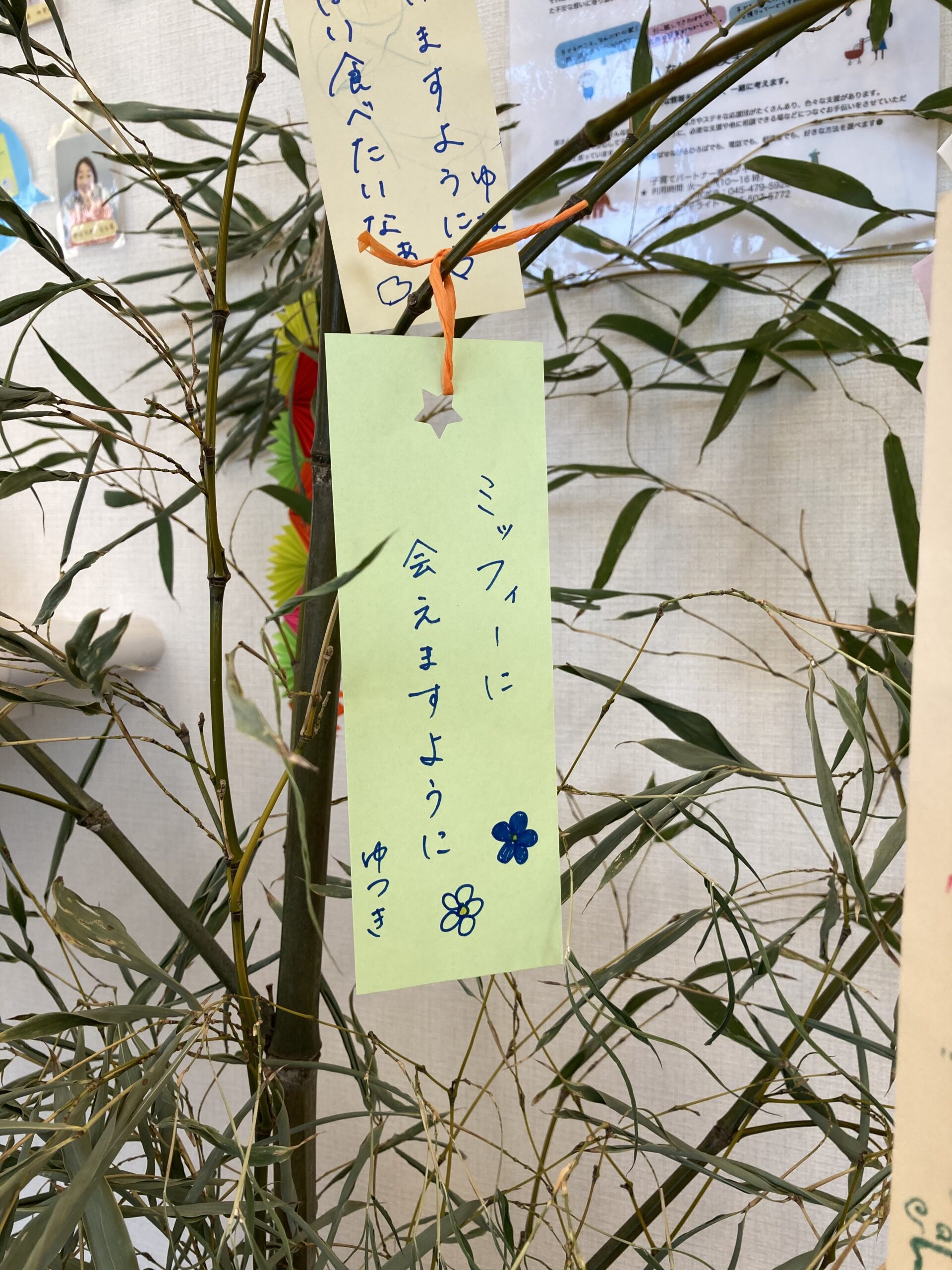 新しいものに興味深々♪