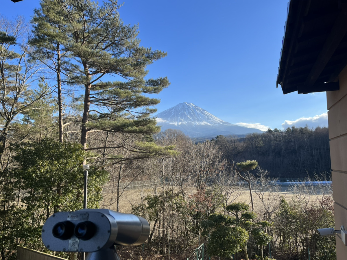 久しぶりに外出しました