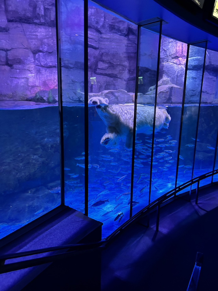 八景島シーパラダイス