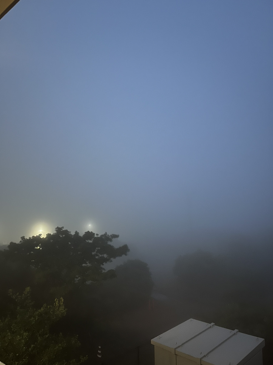 伊豆大島🏝 三原山⛰