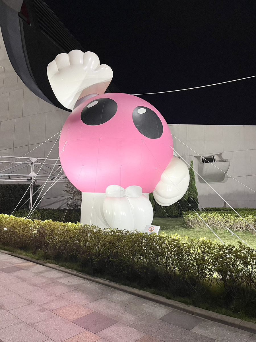 ワールドカップバレー2023女子大会丨FIVBパリ2024予選